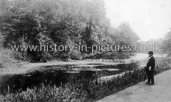 Wanstead Park, Wanstead, London. c.1905